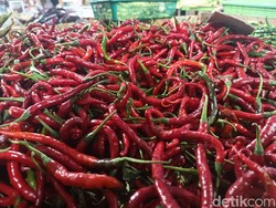 Sempat Naik, Harga Cabai Merah di Sumut Kembali Lesu Akhir Pekan Ini