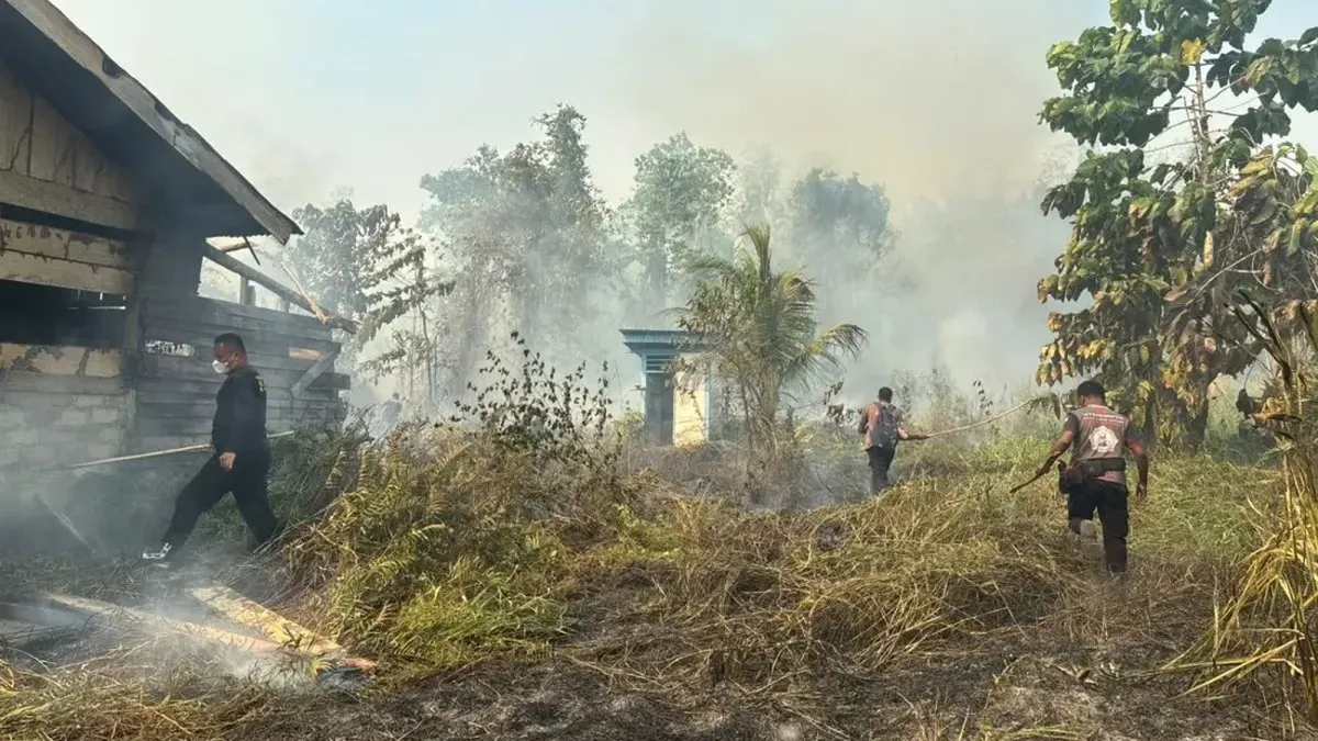 Dinkes Papua Tengah Mulai Antisipasi Peningkatan ISPA Imbas Karhutla