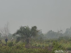 Langit Putih Gelap dan Aroma Bakaran Daun Menyengat di Sungai Raya Kalbar