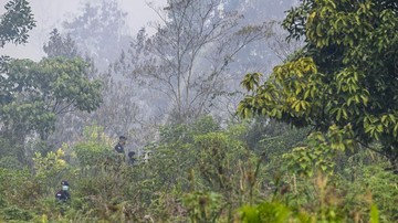 Indonesian Deputy Speaker Urges Investigation into Kalimantan Forest Fires