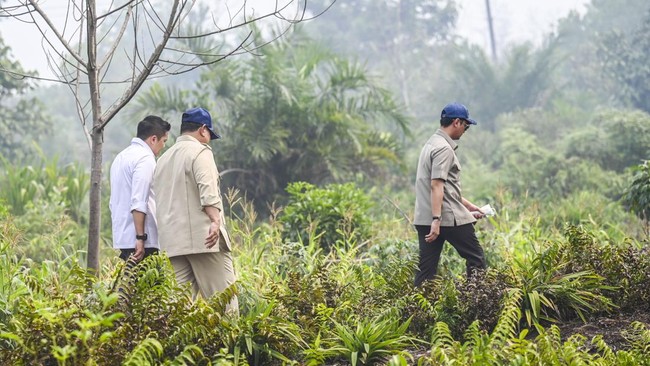 Prabowo Tinjau Lokasi Kebakaran Hutan dan Lahan di Pontianak