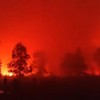 Hutan Taman Nasional Way Kambas, Kabupaten Lampung Timur, Lampung, terbakar.