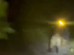 Viral Pria Senter Diduga Pelaku Karhutla di Kalteng, Kini Ditangkap