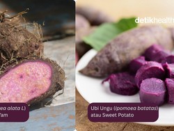 Masih Lho Banyak yang Keliru, Ini Perbedaan Ube Vs Ubi Ungu
