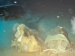 llmuwan Tenggelamkan Sapi di Laut Lalu Sosok Raksasa Muncul