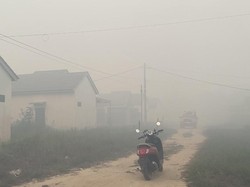 Karhutla di Banjarbaru Dekati Perumahan, Warga Mengungsikan Anak Istri