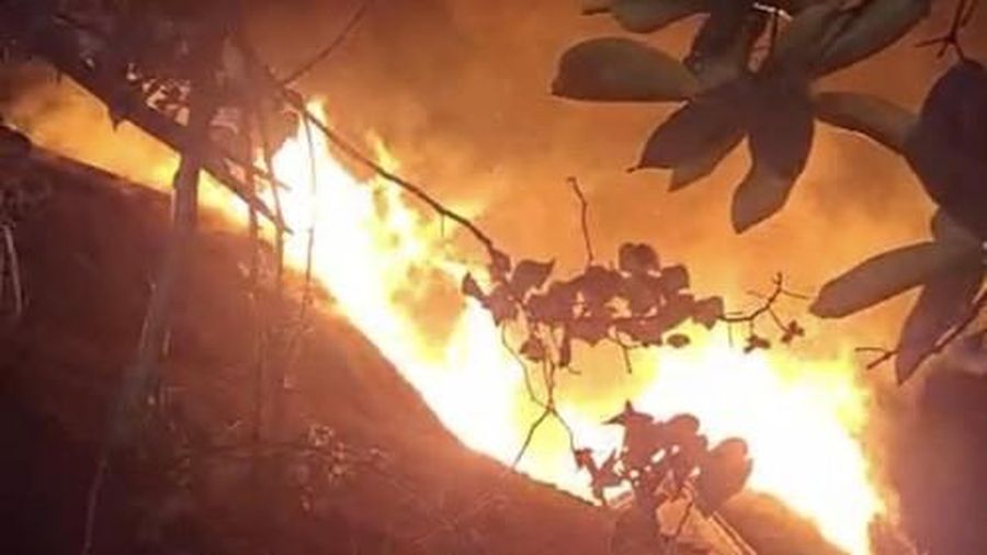 Kebakaran besar di Kampung Desa Adat Sade, Desa Rembitan, Kecamatan Pujut, Lombok Tengah, Sabtu (22/8/2026) malam. (Dok. Istimewa)