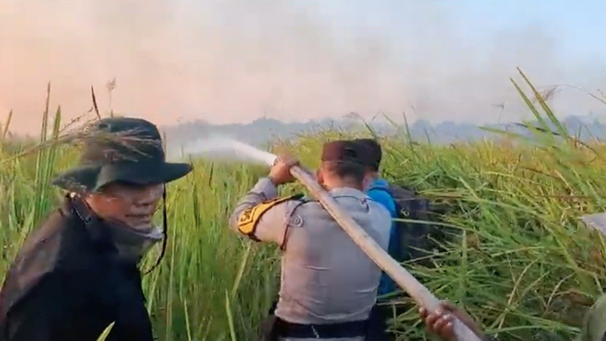 200 Personel Gabungan Dikerahkan, Karhutla di Way Kambas Lampung Padam