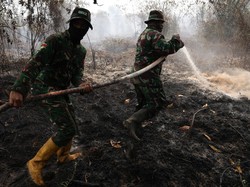 Polisi Sebut Pelaku Bakar Hutan untuk Buka Lahan Sawit