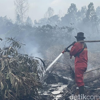 Kasus ISPA Akibat Karhutla Naik, Negara Tetangga Indonesia Ikut Jadi Korban
