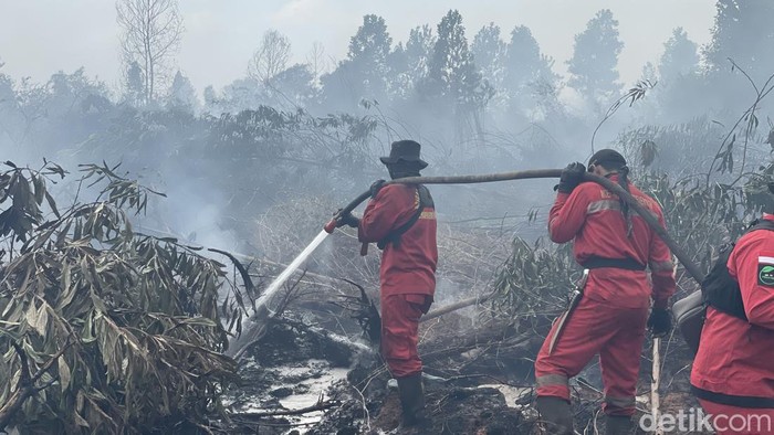 Kasus ISPA Akibat Karhutla Naik, Negara Tetangga Indonesia Ikut Jadi Korban