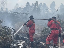 Sederet Bantuan Haji Isam dalam Penanganan Karhutla Kalsel