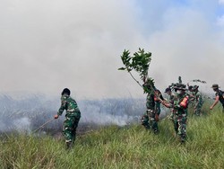 Kemenhut Gandeng Polisi Selidiki Kebakaran di Taman Nasional Way Kambas