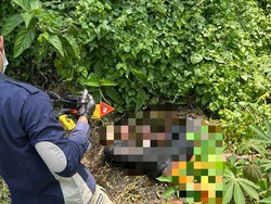 Pegawai Koperasi yang Hilang 4 Hari Ditemukan Tewas di Kebun Singkong Lampung