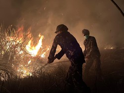 Kebakaran di Taman Nasional Way Kambas Sudah Padam