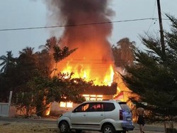 Warga Ketapang Bakar Sarang Tawon, Nahas Rumahnya Ikut Hangus Terbakar