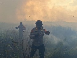 Kebakaran Masih Terjadi di Way Kambas