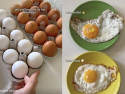 Viral Telur Sultan dari Ayam Paling Bahagia di Swiss, Lebih Enak?