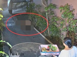 Viral Bule Mesum di Pekarangan Rumah Warga Tibubeneng, Polisi Turun Tangan