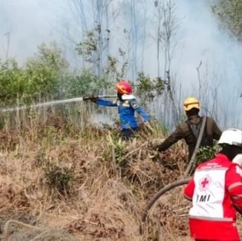 5 Faktor Penyebab Karhutla di Indonesia, Banyak Dipicu Ulah Manusia