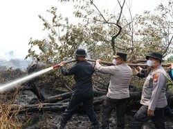 Petugas Gabungan Bersihkan Sekat Kanal Cegah Karhutla Kerumutan Meluas