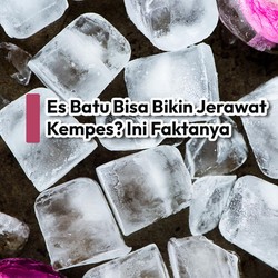 Logo Haibunda