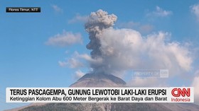 Gunung Lewotobi Laki-Laki Erupsi