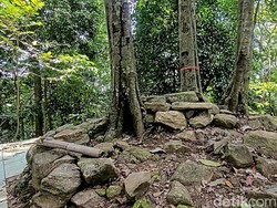 Duh! Temuan Celana Dalam-Kutang Wanita Berserakan Menodai Gunung Tangkil
