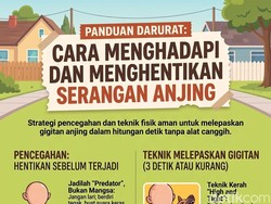 Infografik: Cara Benar Menghadapi dan Menghentikan Serangan Anjing