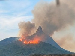 350 Hektare Lahan di Kaki Bukit Serelo Lahat Terbakar, Pemadaman Manual
