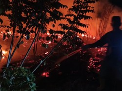 54,25 Hektare Terdampak Kebakaran Hutan dan Lahan di Trenggalek