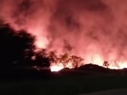 2 Hektare Lahan Kosong di Tallasa City Makassar Terbakar