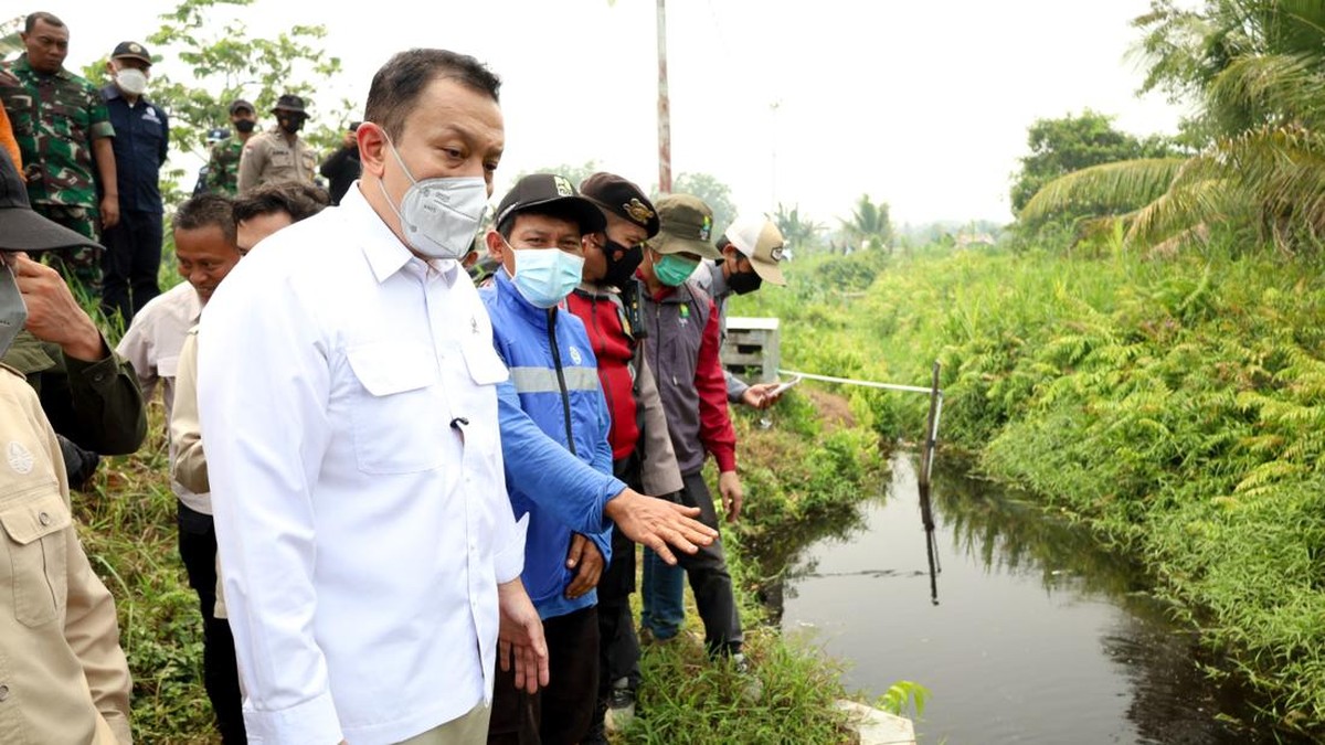 Atasi Kebakaran Gambut, Wamen LH Dorong Swasta Bangun Sekat Kanal