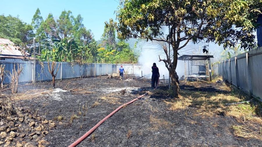 Kondisi dan upaya penanganan kebakaran lahan di Kabupaten Nabire, Papua Tengah, Minggu (23/8). (BPBD Kabupaten Nabire)