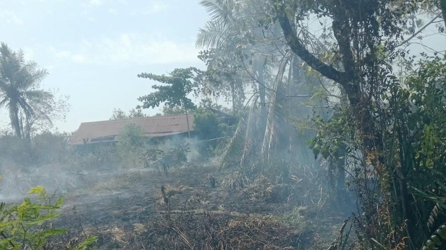 Kondisi dan upaya penanganan kebakaran lahan di Kabupaten Nabire, Papua Tengah, Minggu (23/8). (BPBD Kabupaten Nabire)