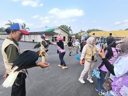 Pawai Kemerdekaan Hibur Warga Bayur Samarinda, Ada Kuda hingga Ular Sanca