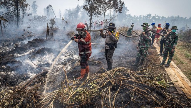 Petugas gabungan menyemprotkan air saat penanganan kebakaran hutan dan lahan (karhutla) di Kabupaten Kampar, Riau, Senin (24/8/2026). Pemerintah Daerah Provinsi Riau bersama institusi terkait telah berhasil menekan luasan area kebakaran hutan dan lah