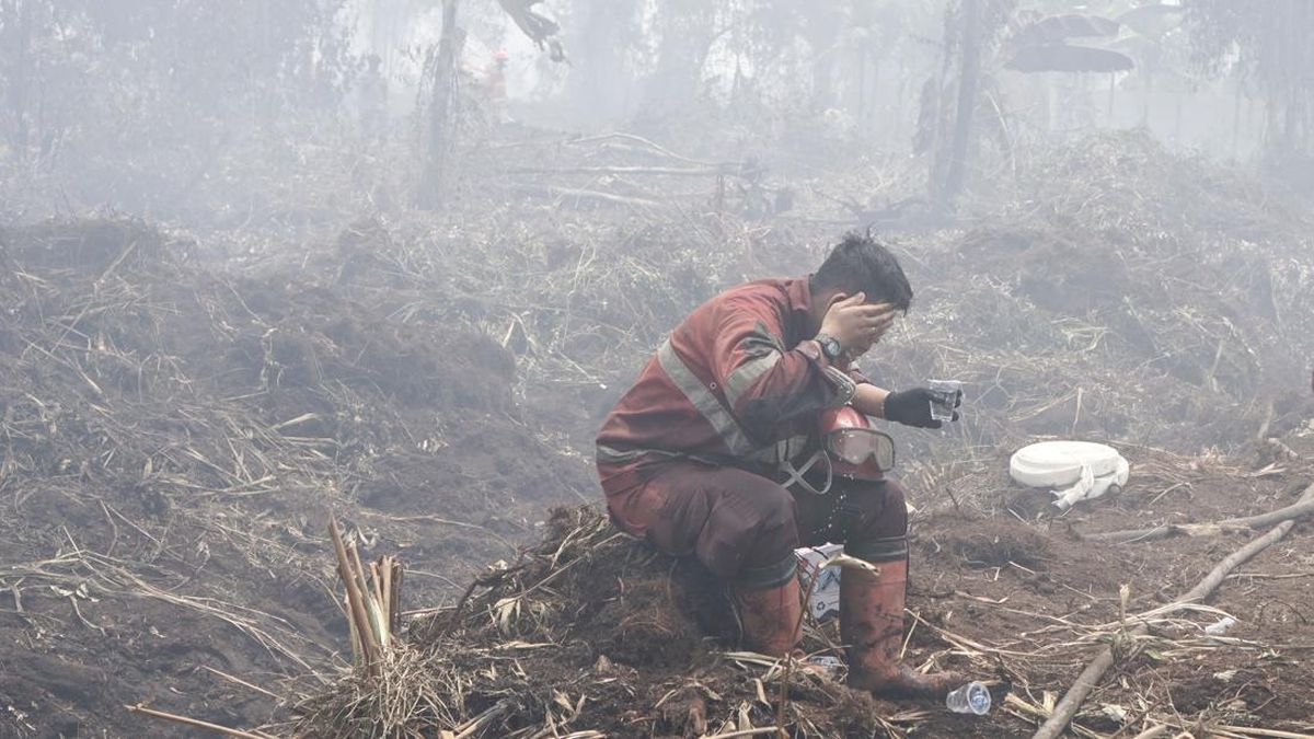 28 Ribu Jiwa Terdampak ISPA Sepanjang Karhutla di Riau Tahun Ini
