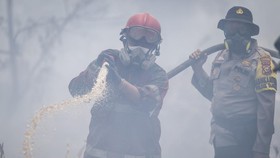 Petugas gabungan berupaya memadamkan api yang membakar lahan gambut di Kabupaten Kampar, Riau, Senin (24/8/2026). Pemerintah Daerah Provinsi Riau bersama institusi terkait telah berhasil menekan luasan area kebakaran hutan dan lahan (karhutla) dari s