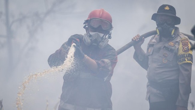 Petugas gabungan berupaya memadamkan api yang membakar lahan gambut di Kabupaten Kampar, Riau, Senin (24/8/2026). Pemerintah Daerah Provinsi Riau bersama institusi terkait telah berhasil menekan luasan area kebakaran hutan dan lahan (karhutla) dari s