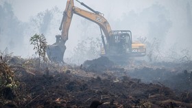 Petugas gabungan menyemprotkan air saat penanganan kebakaran hutan dan lahan (karhutla) di Kabupaten Kampar, Riau, Senin (24/8/2026). Pemerintah Daerah Provinsi Riau bersama institusi terkait telah berhasil menekan luasan area kebakaran hutan dan lah