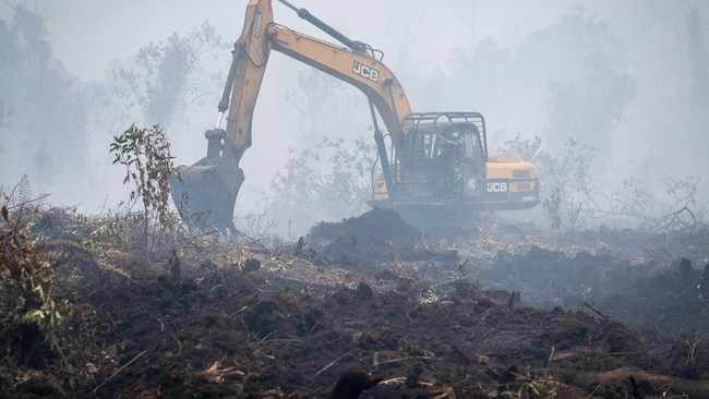 Petugas gabungan menyemprotkan air saat penanganan kebakaran hutan dan lahan (karhutla) di Kabupaten Kampar, Riau, Senin (24/8/2026). Pemerintah Daerah Provinsi Riau bersama institusi terkait telah berhasil menekan luasan area kebakaran hutan dan lah