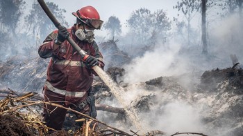 Petugas gabungan berupaya memadamkan api yang membakar lahan gambut di Kabupaten Kampar, Riau, Senin (24/8/2026). Pemerintah Daerah Provinsi Riau bersama institusi terkait telah berhasil menekan luasan area kebakaran hutan dan lahan (karhutla) dari s
