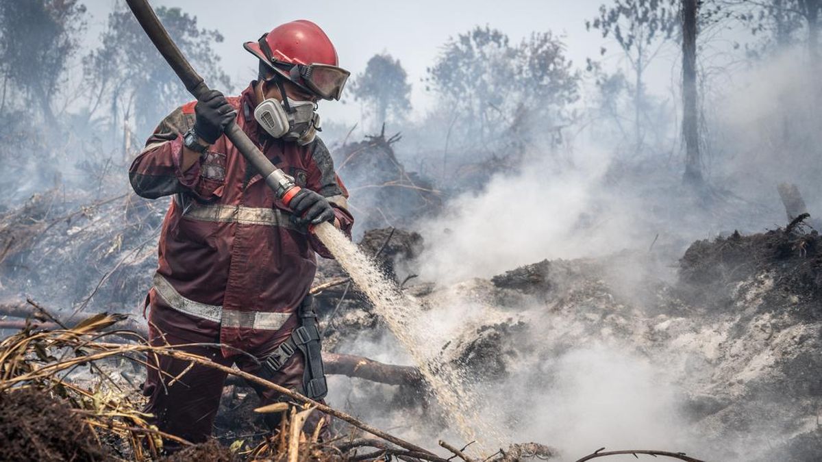 FOTO: H-13 Karhutla di Kampar Riau, Api Belum Padam