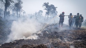 Petugas gabungan menyemprotkan air saat penanganan kebakaran hutan dan lahan (karhutla) di Kabupaten Kampar, Riau, Senin (24/8/2026). Pemerintah Daerah Provinsi Riau bersama institusi terkait telah berhasil menekan luasan area kebakaran hutan dan lah