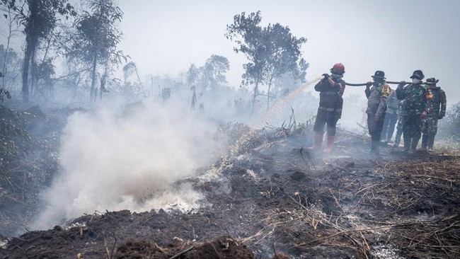 Petugas gabungan menyemprotkan air saat penanganan kebakaran hutan dan lahan (karhutla) di Kabupaten Kampar, Riau, Senin (24/8/2026). Pemerintah Daerah Provinsi Riau bersama institusi terkait telah berhasil menekan luasan area kebakaran hutan dan lah