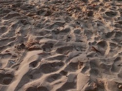Pemuda yang Terseret Ombak di Pantai Wowong Lembata Ditemukan Tewas