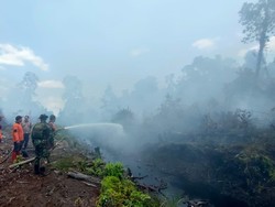 Sejarah Rentetan Kasus Karhutla di Kalimantan dari 1982 hingga 2026