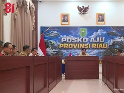 Rapat Bareng Presiden, Tito Dorong Pencegahan Karhutla di Riau Diperkuat