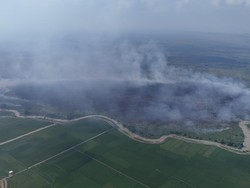 774,14 Hektare Lahan di TN Way Kambas Terbakar, Water Bombing Disiapkan